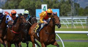 VIDEO: Neil Simpson impresses at Barum Czech Rally Zlín